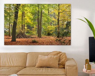 L'automne dans les bois près de Lage Vuursche sur Corinne Welp