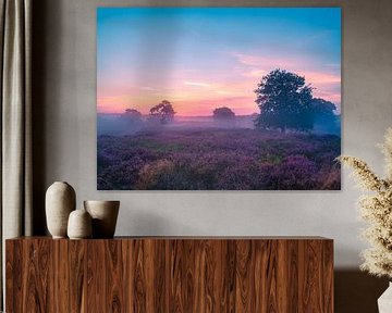 Drentse Heide 2022 by snippefotografie