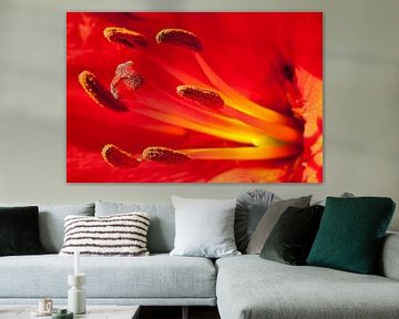 Red Lily by Studio voor Beeld