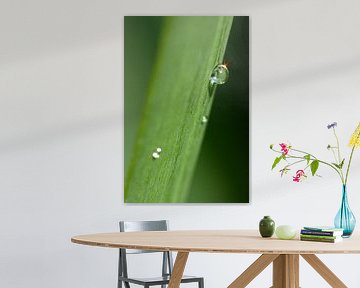 Water droplets by Studio voor Beeld