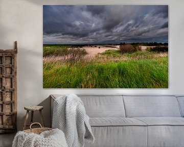 A Thunderstorm over a Landscape