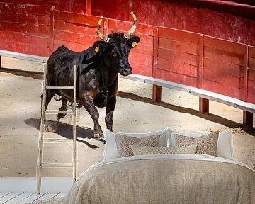 Stier in arena van Dieter Walther