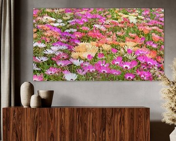 Bloemen Zee met Namaqualand Madeliefjes van Werner Lehmann