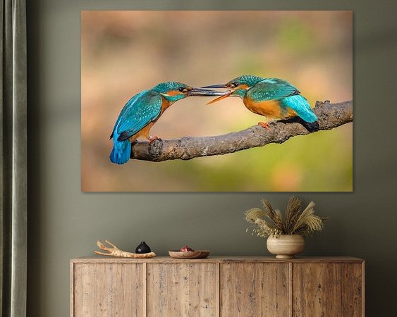 Aperçu de la chambre