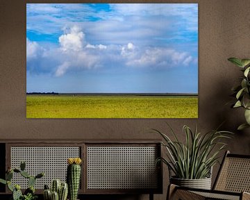 Wadden Sea dike in the northeast of Friesland by Evert Jan Luchies