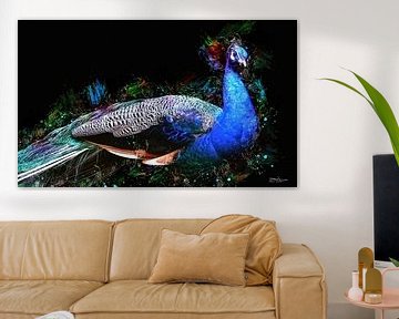 digital watercolor of a peacock by Gelissen Artworks