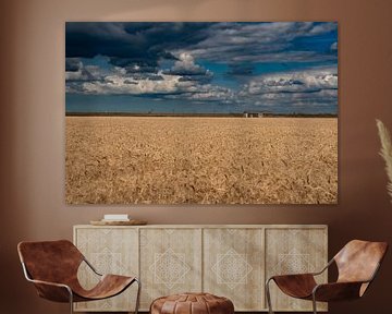 Beau ciel de nuages menaçants au-dessus des champs de céréales sur Mariska Brouwenstijn