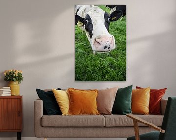 Portret van een nieuwsgierige koe van André Hamerpagt