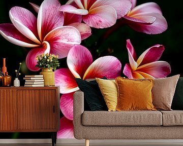 The frangipani or pumeria flower, a pink yellow dream by Fotos by Jan Wehnert
