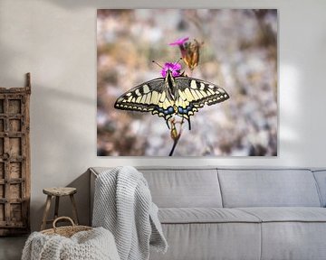 Macro van een zwaluwstaartvlinder van ManfredFotos