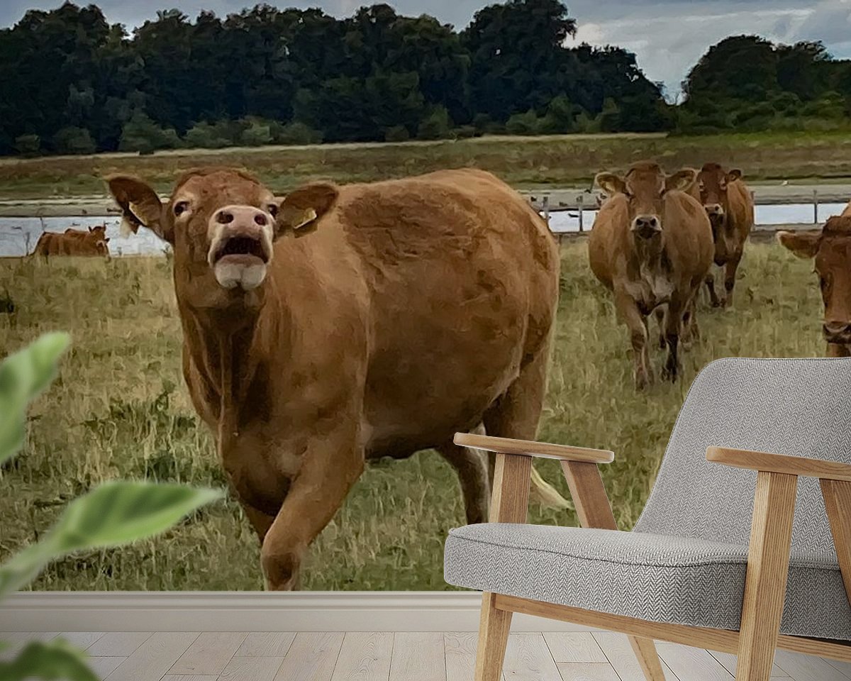Raumvorschau