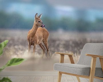 Vrouwelijk hert in een veld in de regen