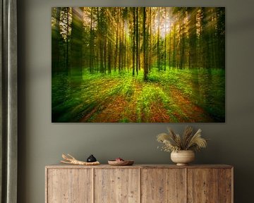 Magischer Wald mit Sonnenlicht von marlika art