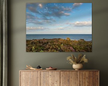 Sylt, vue sur la mer des Wadden depuis la falaise blanche