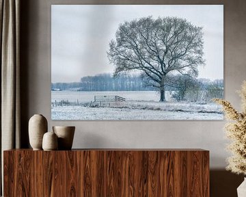 Arbre dans un paysage d'hiver sur Moetwil en van Dijk - Fotografie