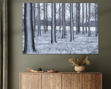 Schnee auf den Bäumen von Moetwil en van Dijk - Fotografie