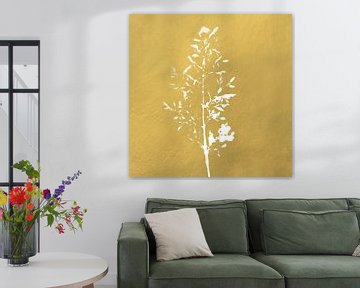 White grass  on golden background. Botanical art by Dina Dankers