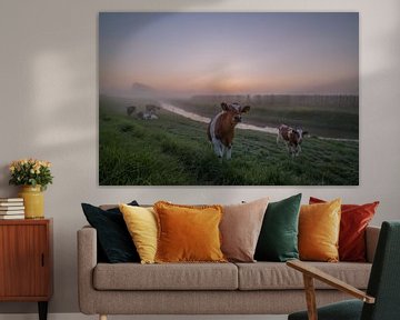 Koeien in polderlandschap met ochtendmist van Moetwil en van Dijk - Fotografie