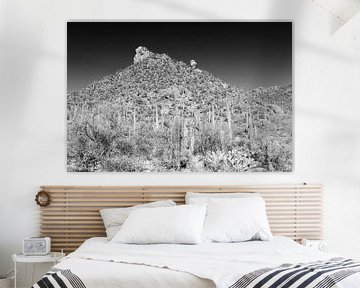 SAGUARO NATIONAL PARK Woestijnlandschap | Monochroom van Melanie Viola