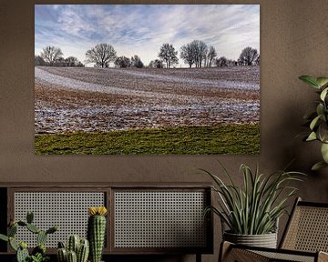 Een vleugje winter in de Piepert (Heuvelland, Zuid-Limburg, Nederland) van Rob Boon