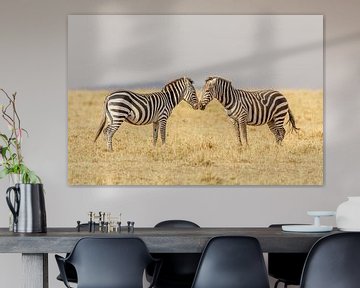 Zebra's in de Masai Mara savanne Kenia van Eveline Dekkers
