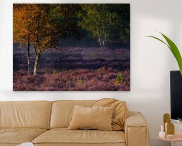 Early autumn colors and blooming heather on the Oirschotse Heide. by Jos Pannekoek