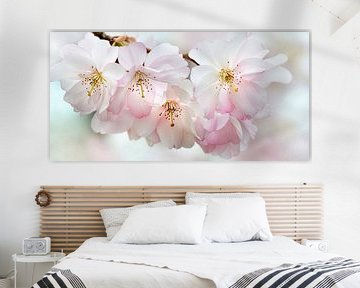Japanische Kirschblüte von Violetta Honkisz