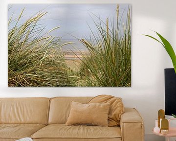 Marram grass in the dunes of the North Sea. by Slim Shadow