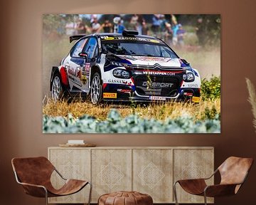 Jos Verstappen WRC Rally