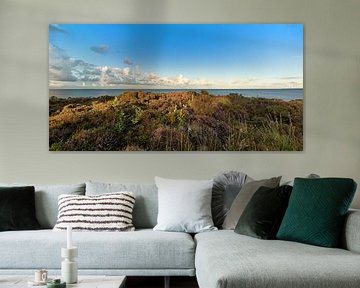 Sylt, Braderuper Heide mit Blick auf das Meer