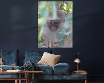 South African squirrel monkey by Rene van Heerdt