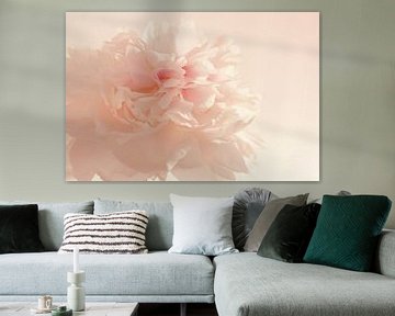 Pink Peony by Anneke Verweij