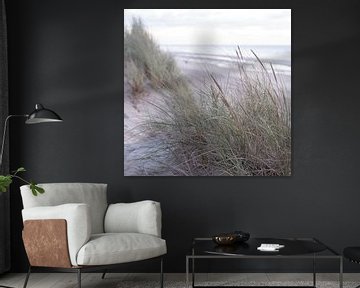 Dune grass on the North Sea by Sandra Bechtold