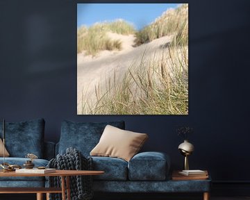 Sand and dunes by Sandra Bechtold