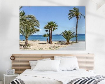Under the palms on Ibiza beach