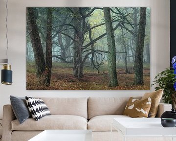 Painterly Pines by Ellen Borggreve