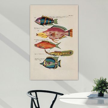 Krebse und Krabben, Louis Renard, 1754 - Sammlung Teylers Museum von Teylers Museum