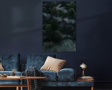 Luchtfoto van een bos bedekt met een sluier van mist van Besa Art