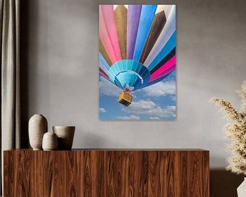 Hete luchtballon van Frans Nijland
