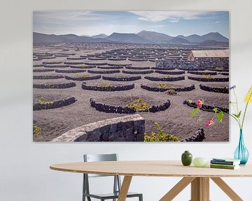 Landbouw op Lanzarote van t.ART