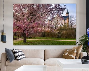 Wasserschloss Klaffenbach im Frühling von Daniela Beyer