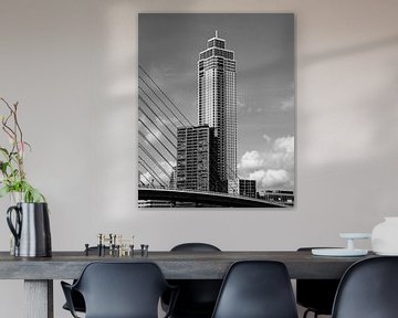Towering van Rotterdam Through My Lens