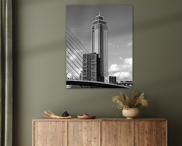 Towering van Rotterdam Through My Lens