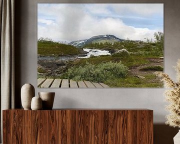 Het ruige landschap van Zweeds lapland van Welmoed Bulthuis-Rondaan