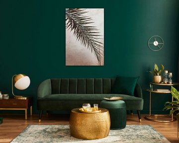 Zweig einer Palme vor einer Mauer von Ingrid Koedood Fotografie