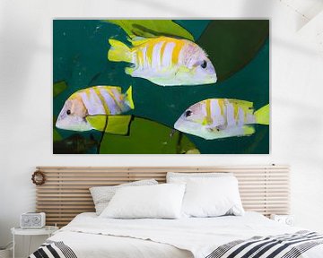 gelb-weiße tropische Fische in grüner Umgebung von Maud De Vries