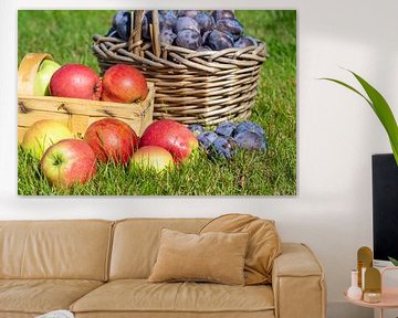 Mand met pruimen en appels van Animaflora PicsStock