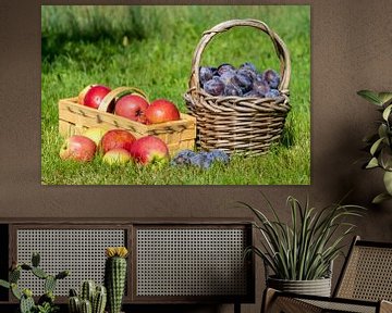 Mand met pruimen en appels in een weide van Animaflora PicsStock