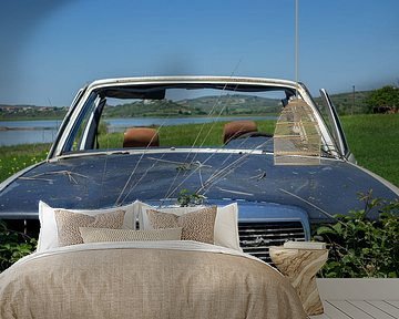 Abandoned Car in Albania by Adelheid Smitt