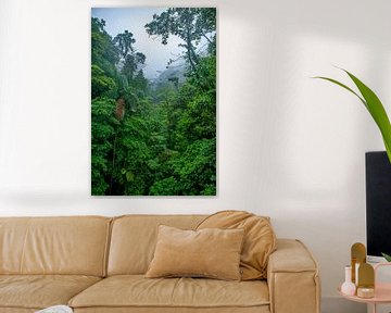 Costa Rica - Brücke im Regenwald von t.ART